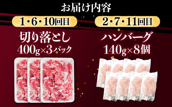 【12回定期便】肉ざんまい定期便 一人暮らし 少量【川崎畜産】牛肉 [IAX051]
