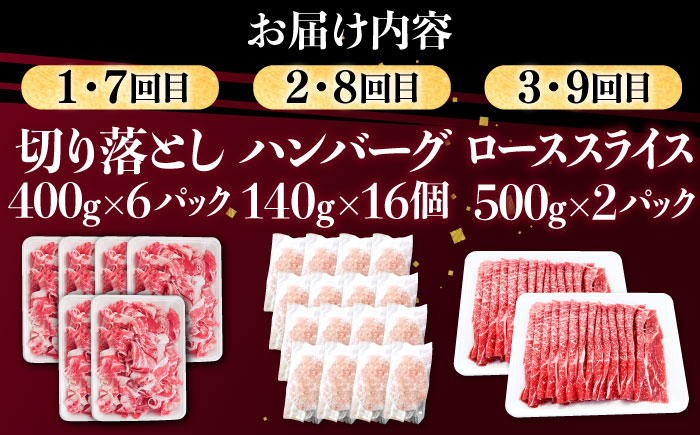 【12回定期便】肉ざんまい定期便 大家族 大容量 たっぷり 【川崎畜産】牛肉 [IAX052]