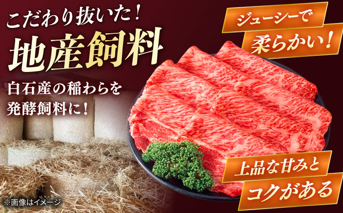 佐賀牛　赤身スライス　500g　【川崎畜産】 [IAX071]