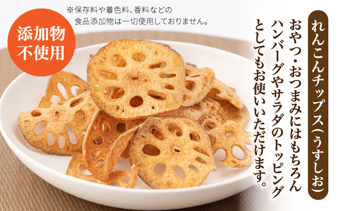 【栄養たっぷりヘルシー！】れんこんハンバーグとれんこんチップスセット【べんがら】蓮根 [IAZ001]