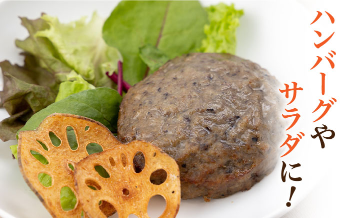 【栄養たっぷりのおつまみ！】れんこんチップス（うすしお味）40g×4袋【べんがら】蓮根 [IAZ012]