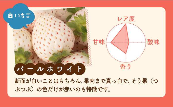 【先行予約】【3回定期便】食べ比べ！いちごさん＆パールホワイト 詰め合わせ 各品種220g（計440g以上）/回【かわさきいちご】イチゴ [IBG013]