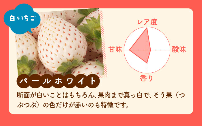 【R8年1月以降発送】【全4回定期便】いちごとお米の贅沢定期便（2） 【かわさきいちご】 [IBG020]