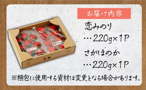 【先行予約】食べ比べ！恋みのり＆さがほのか 各220g 詰め合わせ セット【鐘ヶ江農園】いちご [IBH007]