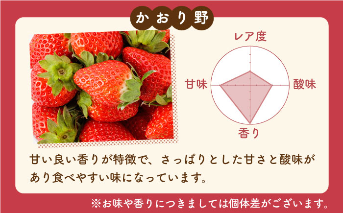 【先行予約】【農家直送】赤いちご 食べ比べ！かおり野＆いちごさん 各240g 詰め合わせ セット（計480g）【StrawberryFarm-K】イチゴ [IBJ006]