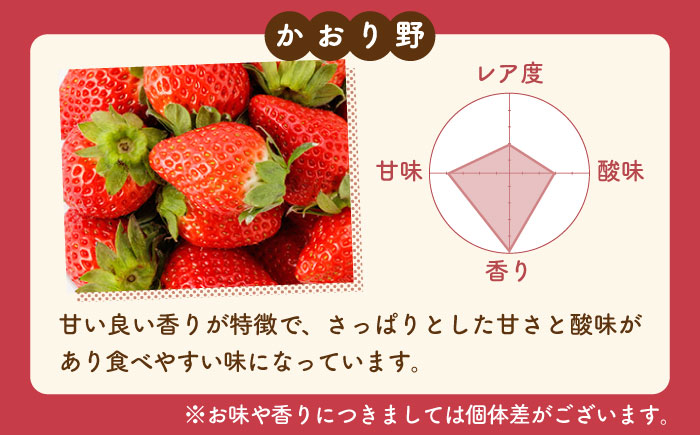 【R8年1月以降発送】【3回定期便】赤いちご食べ比べ！かおり野＆いちごさん【StrawberryFarm-K】イチゴ [IBJ007]