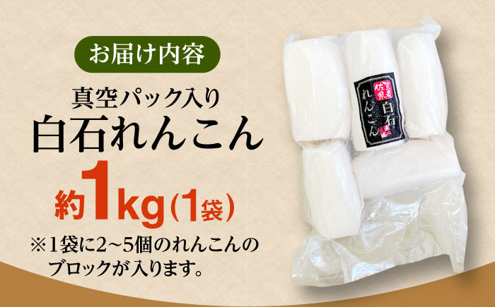 【お手軽調理！】白石町産 水煮れんこん 計1kg（真空パック）【有限会社白石開発】蓮根 れんこん レンコン [IBN005]