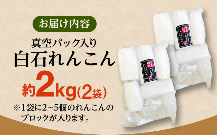 【お手軽調理！】白石町産 水煮れんこん 計2kg（真空パック）【有限会社白石開発】蓮根 れんこん レンコン [IBN007]