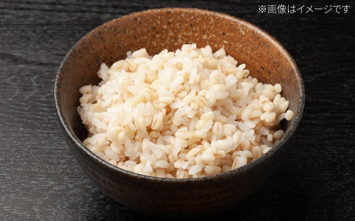 【全2回定期便】もち麦（キラリモチ）計4kg（2kg×2回） 【有限会社定松ファーム】 [IBV008]