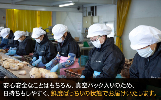 有機JAS れんこん 真空パック入り 300g×4袋（計1.2kg）【有限会社マルハ園芸】 [ICC001]