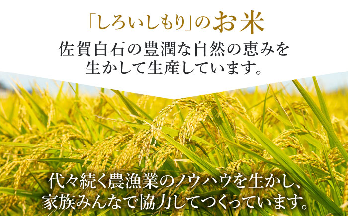 【令和7年10月以降発送】【令和7年度産】しろいしもりのお米 さがびより 2kg【Sunrise328】米 お米 白米 [ICD008]