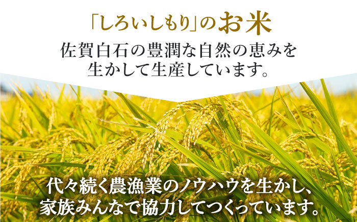 【令和7年10月以降発送】【令和7年度産】しろいしもりのお米 ひのひかり 2kg【Sunrise328】米 お米 白米 [ICD010]