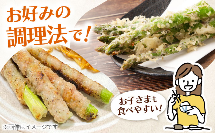 甘くやわらか！こだわり 夏芽 アスパラガス 約1kg【ふぁふぁふぁーむ】アスパラ [ICS002]