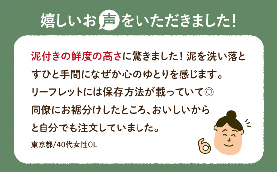 【年内発送】【祖母は103歳 健康長寿の源！】 白石 れんこん 3kg【やまぐちれんこん店】蓮根 レンコン 泥付き 根菜 野菜 佐賀県産 [ICT001]