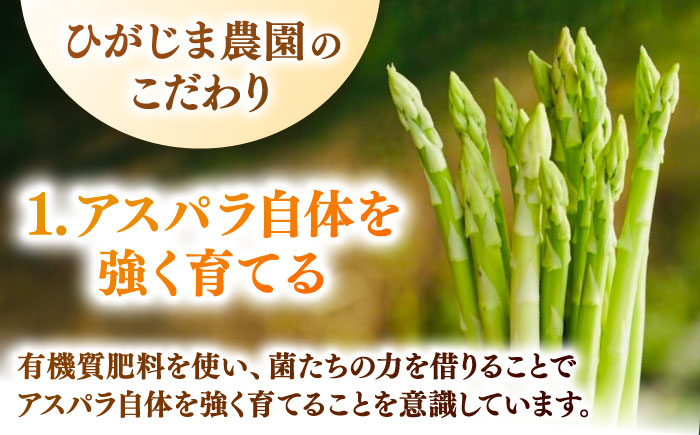 【年内発送】【先行予約】身体にやさしい こだわり 春芽 アスパラガス 約1kg【ひがじま農園】アスパラ [ICW001]