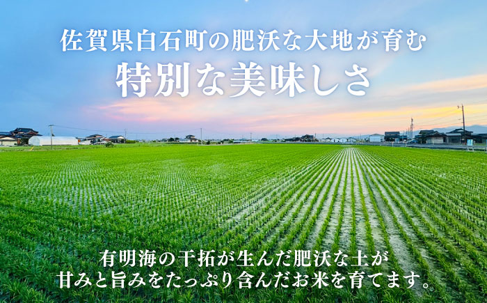 【令和7年産】お米の食べ比べセット（さがびより・夢しずく） 計10kg（各5kg）【ちわたのふぁーむ】 米 10kg 食べ比べ   特A 特A評価 精米 佐賀県産 国産米 コメ こめ お米 白米 ブランド米 精白米 おにぎり さがびより ゆめしずく 九州 佐賀県 白石町 人気 おすすめ[IDE005]