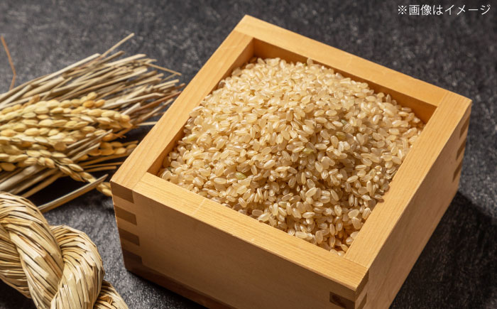 ヒノヒカリ 玄米 5kg 【片渕農園】 [IDG004]