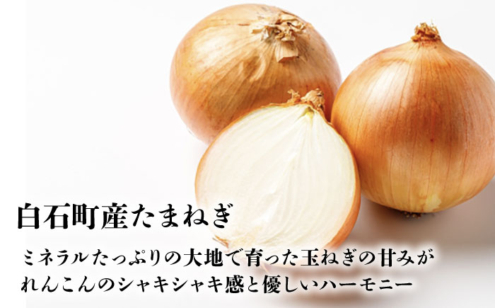 究極の白石薫る蓮玉ハンバーグ 120g×6個 【食彩～煌～】[IDH001]