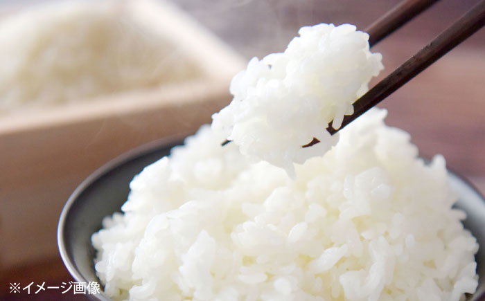 【令和7年度産】ひのひかり 10kg 【勝農園】[IDK001]