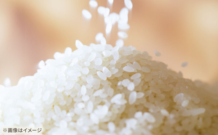 ひなたまる 5kg 【直売所にじ】 米 5kg  精米  佐賀県産 国産米 コメ こめ お米 白米 ブランド米 精白米 おにぎり ひなたまる 九州 佐賀県 白石町 人気 おすすめ[IDO003]