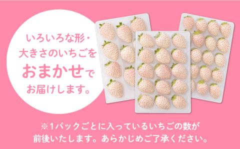 【先行予約】上品な甘さ！希少な白いちご「パールホワイト」220g×2パック / イチゴ [IZZ003]