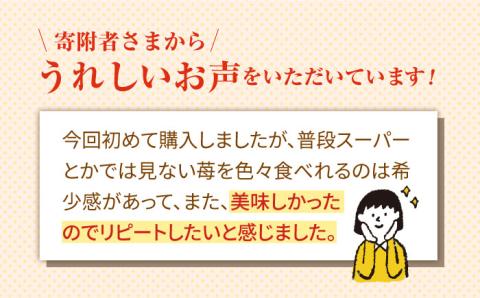 【先行予約】【全4回定期便】希少いちご食べ比べ [IZZ005]