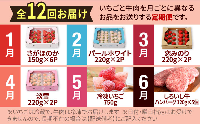 【R8年1月以降発送】【先行予約】【全12回定期便】産地直送！白石町産 いちごと牛肉の贅沢定期便 [IZZ010]