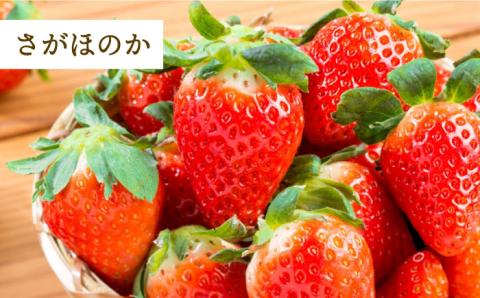 【先行予約】【全3回定期便】紅白いちご（淡雪・さがほのか）とスイートコーン / イチゴ [IZZ016]