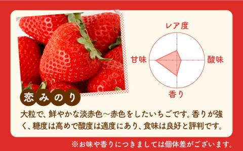 【先行予約】【全4回定期便】紅白いちご（恋みのり・パールホワイト） / イチゴ [IZZ017]