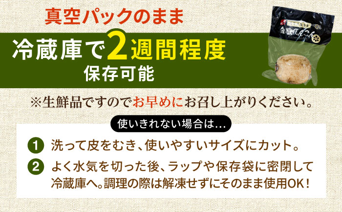 【R8年1月以降発送】【真空パック】新鮮でおいしい！ 佐賀のがばいうまかレンコン 約2kg【有限会社白石開発】 /蓮根 レンコン 佐賀県産 白石町産 野菜 根菜 小分け 真空 保存 [IBN006]