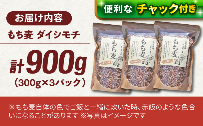 【令和6年度産】【腸内環境整える健康食品！】白石産もち麦900g 【道の駅しろいしカンパニー】ご飯 もち麦 [IAA003]