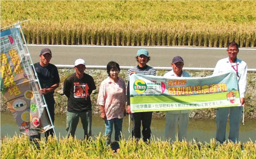 【令和6年度産】特別栽培米 白石産 さがびより（5kg）【道の駅しろいしカンパニー】白米 [IAA006]