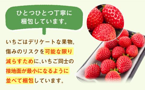 【R8年1月以降発送】【先行予約】【3回定期便】白石産 いちご「いちごさん」 約150g×6パック/回（総計2.7kg以上）【道の駅しろいしカンパニー】イチゴ [IAA032]