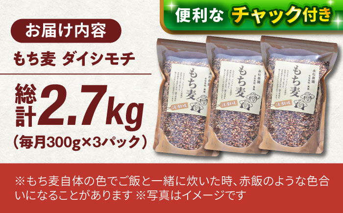 【令和6年度産】【全3回定期便】白石産 もち麦 900g（300g×3袋）/回（総計2.7kg）【道の駅しろいしカンパニー】ご飯 [IAA034]