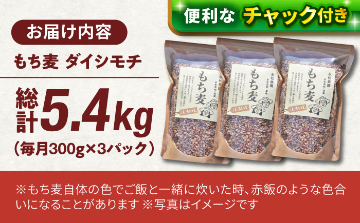 【令和6年度産】【全6回定期便】白石産 もち麦 900g（300g×3袋）/回（総計5.4kg）【道の駅しろいしカンパニー】ご飯 [IAA035]