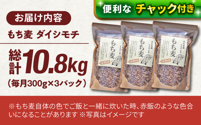 【令和6年度産】【全12回定期便】白石産 もち麦 900g（300g×3袋）/回（総計10.8kg）【道の駅しろいしカンパニー】ご飯 [IAA036]