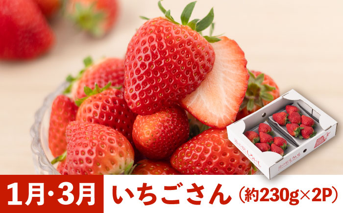 【6回定期便】【旬の農産物をお届け！】しろいし 産直定期便【道の駅しろいしカンパニー】野菜 [IAA042]