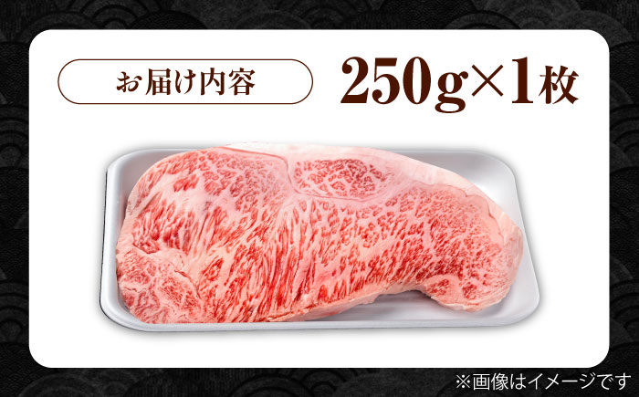佐賀県産 黒毛和牛 贅沢 サーロイン ステーキ 250g×1枚【株式会社いろは精肉店】佐賀産和牛 牛肉 [IAG015]