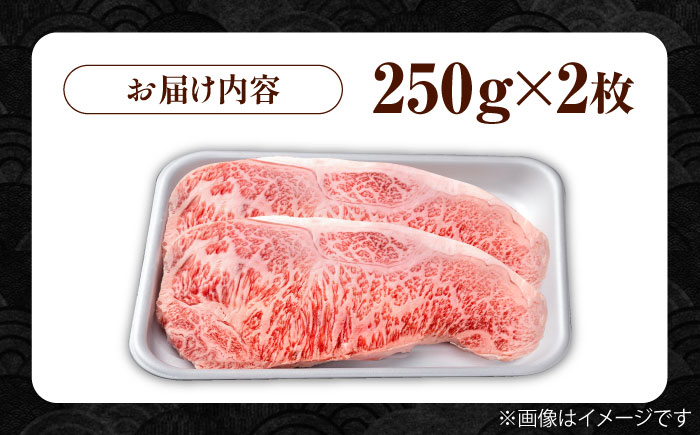 佐賀県産 黒毛和牛 贅沢 サーロイン ステーキ 250g×2枚（計500g）【株式会社いろは精肉店】佐賀産和牛 牛肉 [IAG016]