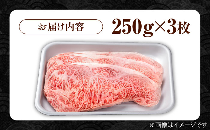 佐賀県産 黒毛和牛 贅沢 サーロイン ステーキ 250g×3枚（計750g）【株式会社いろは精肉店】佐賀産和牛 牛肉 [IAG017]