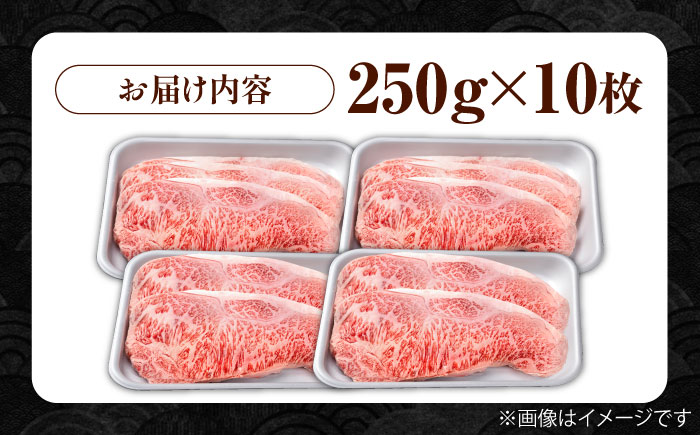佐賀県産 黒毛和牛 贅沢 サーロイン ステーキ 250g×10枚（計2.5kg）【株式会社いろは精肉店】佐賀産和牛 牛肉 [IAG019]