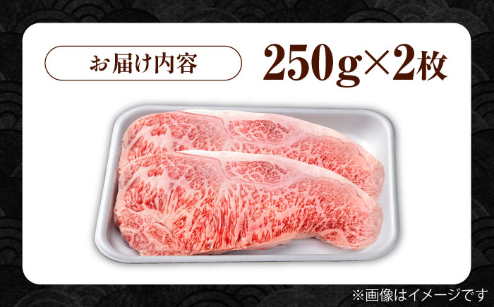 佐賀牛 贅沢 サーロイン ステーキ 250g×2枚（計500g）【株式会社いろは精肉店】牛肉 [IAG051]