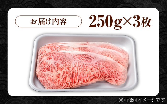 佐賀牛 贅沢 サーロイン ステーキ 250g×3枚（計750g）【株式会社いろは精肉店】牛肉 [IAG052]