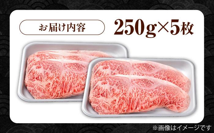 佐賀牛 贅沢 サーロイン ステーキ 250g×5枚（計1250g）【株式会社いろは精肉店】牛肉 [IAG054]