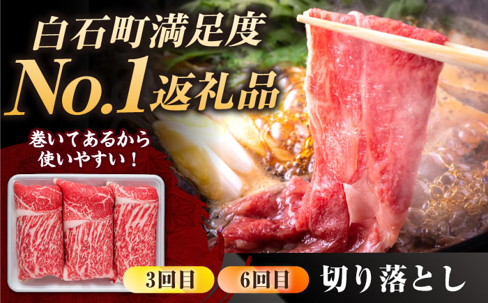 【肉のプロが厳選！】【6回定期便】佐賀県産和牛 贅沢 定期便【株式会社いろは精肉店】佐賀産和牛 牛肉 [IAG069]