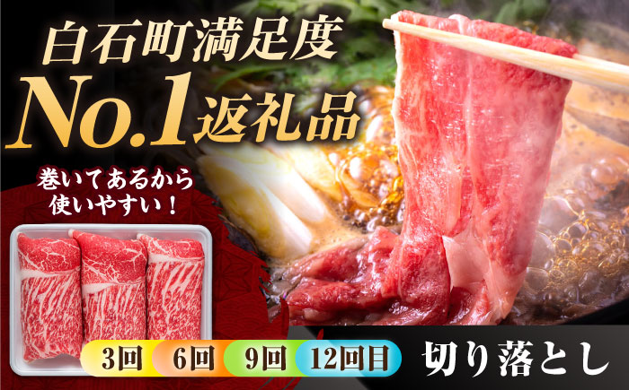 【肉のプロが厳選！】【12回定期便】佐賀県産和牛 贅沢 定期便【株式会社いろは精肉店】佐賀産和牛 牛肉 [IAG070]