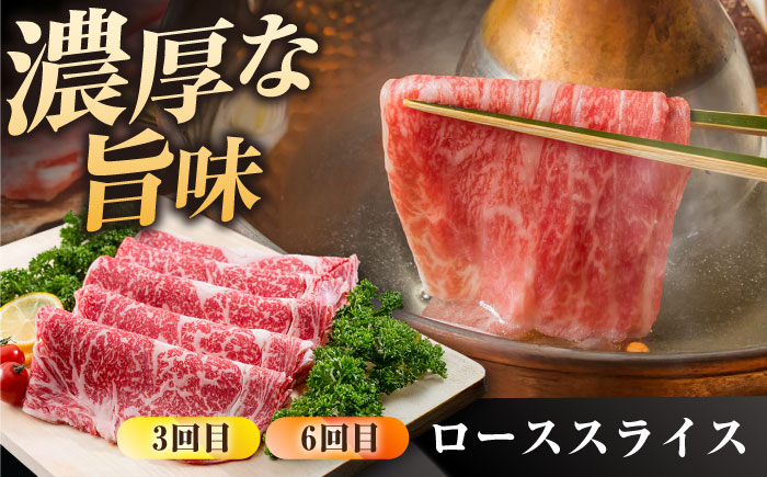 【肉のプロが厳選！】【6回定期便】佐賀県産黒毛和牛 極上 定期便【株式会社いろは精肉店】佐賀県産和牛 牛肉 [IAG072]