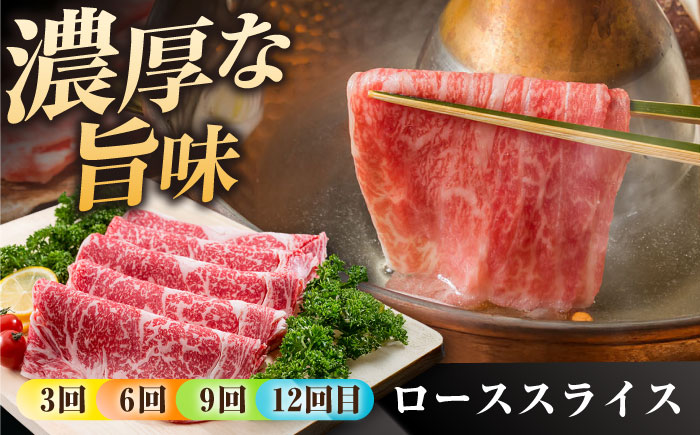 【肉のプロが厳選！】【12回定期便】佐賀県産黒毛和牛 極上 定期便【株式会社いろは精肉店】佐賀県産和牛 牛肉 [IAG073]