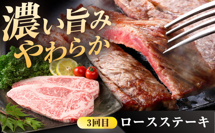 【肉のプロが厳選！】【3回定期便】佐賀牛 贅沢 定期便【株式会社いろは精肉店】牛肉 [IAG074]