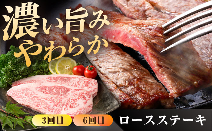【肉のプロが厳選！】【6回定期便】佐賀牛 贅沢 定期便【株式会社いろは精肉店】牛肉 [IAG075]